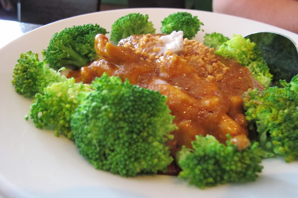 Chicken and broccoli with peanut sauce