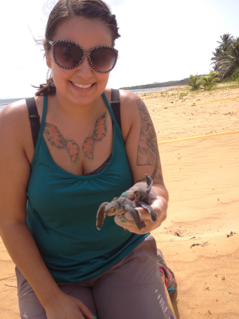 Friends in Puerto Rico = These baby sea turtles. 