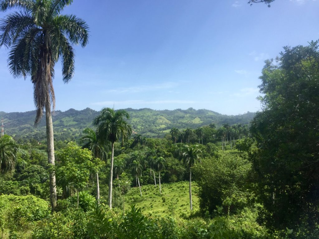 Reforestation in the Dominican Republic